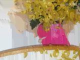 كاشير منزلي