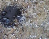 Foto langkah ke 7 dari resep Ayam tepung saus lada hitam.