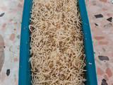 Pastel de berenjena