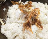 Foto langkah ke 3 dari resep Nasgor Ikan Asin Pedas.