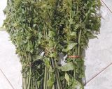Foto langkah ke 1 dari resep Tumis Pakis/Papakuan simpel.