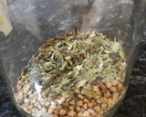 Foto del paso 2 de la receta: Bebida vegetal de trigo sarraceno con hojas de estevia