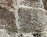Tőkehalfilé fokhagymás szószban spagettivel recept fázis 1 fotója