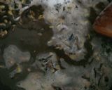 A picture of step 2 of Masala rice.