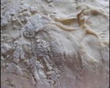 Foto del paso 6 de la receta: Pan de pueblo con harina de trigo