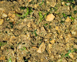Foto del paso 7 de la receta: Pollo al horno