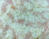 صورة لخطوة 2 من وصفة اخف واحلي تارت كمبوت الخوخ😋😋😋