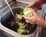 Foto del paso 7 de la receta: Sorprendiendo a los amigos