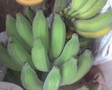 Foto langkah ke 6 dari resep Kripik pisang kriuk kress.