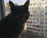 Фото кроку 21 до Вкусное и полезное овощное рагу из корнеплодов.