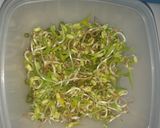 Foto del paso 1 de la receta: Verduras con brotes de mungo en salsa de soja