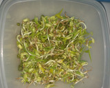 Foto del paso 1 de la receta: Verduras con brotes de mungo en salsa de soja