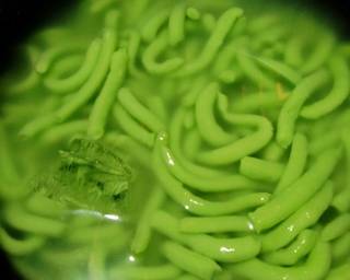 Es dawet kacang ijo | es cendol kacang ijo #selasabisa - Step 6