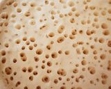 A picture of step 6 of Asian Pancakes 🥞.