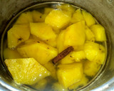 Foto langkah ke 3 dari resep Setup Nanas.