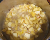 Foto del paso 4 de la receta: Solomillo de cerdo en salsa de manzana