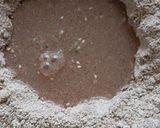 A picture of step 2 of Ragi thepla.
