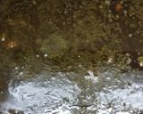 A picture of step 4 of Ghorme sabzi.