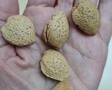 Foto del paso 1 de la receta: Harina integral de almendras 🌱 sin gluten, alta en proteínas, vitaminas, flavonoides, etc, etc