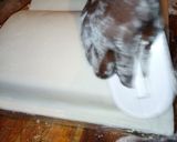 A picture of step 18 of Fondant.