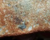 A picture of step 6 of Veg Farsan Sandwich.