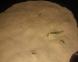 Green onion paratha recipe step 4 photo