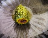 भरवां करेला (bharwa karela recipe in Hindi) रेसिपी चरण 6 फोटो
