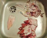 Foto del paso 2 de la receta Chipirones a la romana
