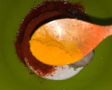 காளான் (மஸ்ரூம்) டிக்கா (Kaalaan tikka recipe in tamil) ரெசிபி ஸ்டேப் 2 புகைப்படம்