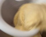 Foto del paso 2 de la receta: Bollo de Requena !!! (mona de Pascua salada) …