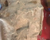 Foto del paso 13 de la receta: Canelones de carne y verdura