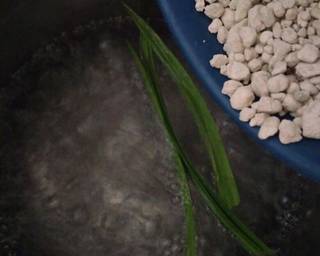 Cendol sagu ambon (cindua bone) - Step 1