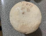 Foto del paso 1 de la receta: Pan casero