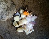 Foto langkah ke 1 dari resep Bakwan Cantik.