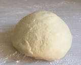 Foto del paso 1 de la receta: Pan Naan Hindú