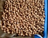 Foto langkah ke 13 dari resep Kacang telur renyah ekonomis (step by step).