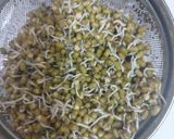 A picture of step 1 of Moong sprout dosa.