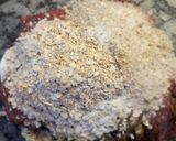 Foto del paso 5 de la receta: Hamburguesa de Carne