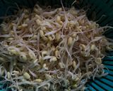Foto langkah ke 2 dari resep Urap Sayur.