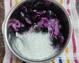 જાંબુ સ્મૂધી (Black berry smoothie recipe in Gujarati) રેસીપી સ્ટેપ1ફોટો
