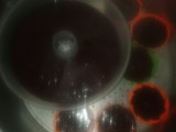 Brownies tepung mocaf