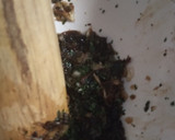 Foto del paso 4 de la receta: Paella de verduras