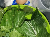 Bakmi Ayam Ijo