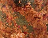 Foto langkah ke 2 dari resep Balado Udang & Tahu.
