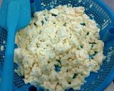 Foto langkah ke 8 dari resep Homemade Italian Mozzarella.