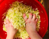 Foto del paso 4 de la receta: Chucrut paso a paso