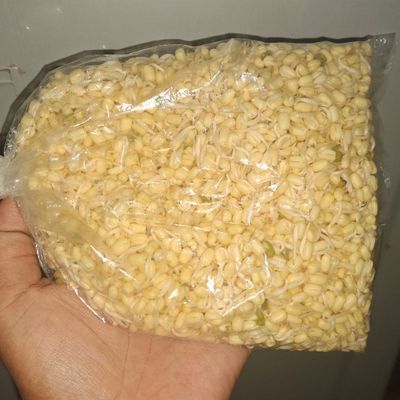 Langkah 9