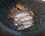 Foto langkah ke 3 dari resep Pindang Blocok Pedas.