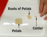 Nerikiri Wagashi  "桔梗 (balloon flower)" recipe step 2 photo