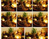 A picture of step 6 of Stir Fried Mushrooms Matar Masala M3.